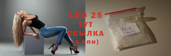 стафф Медвежьегорск