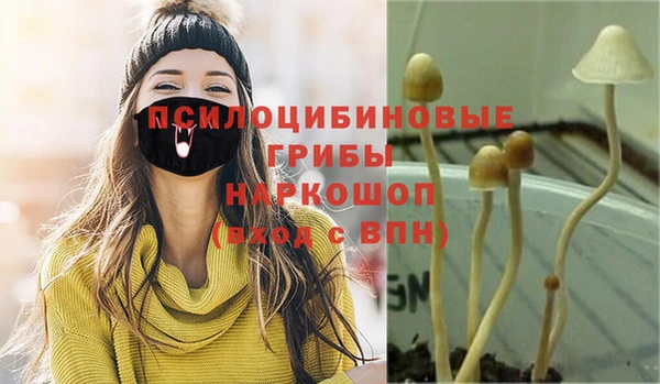 марихуана Медногорск